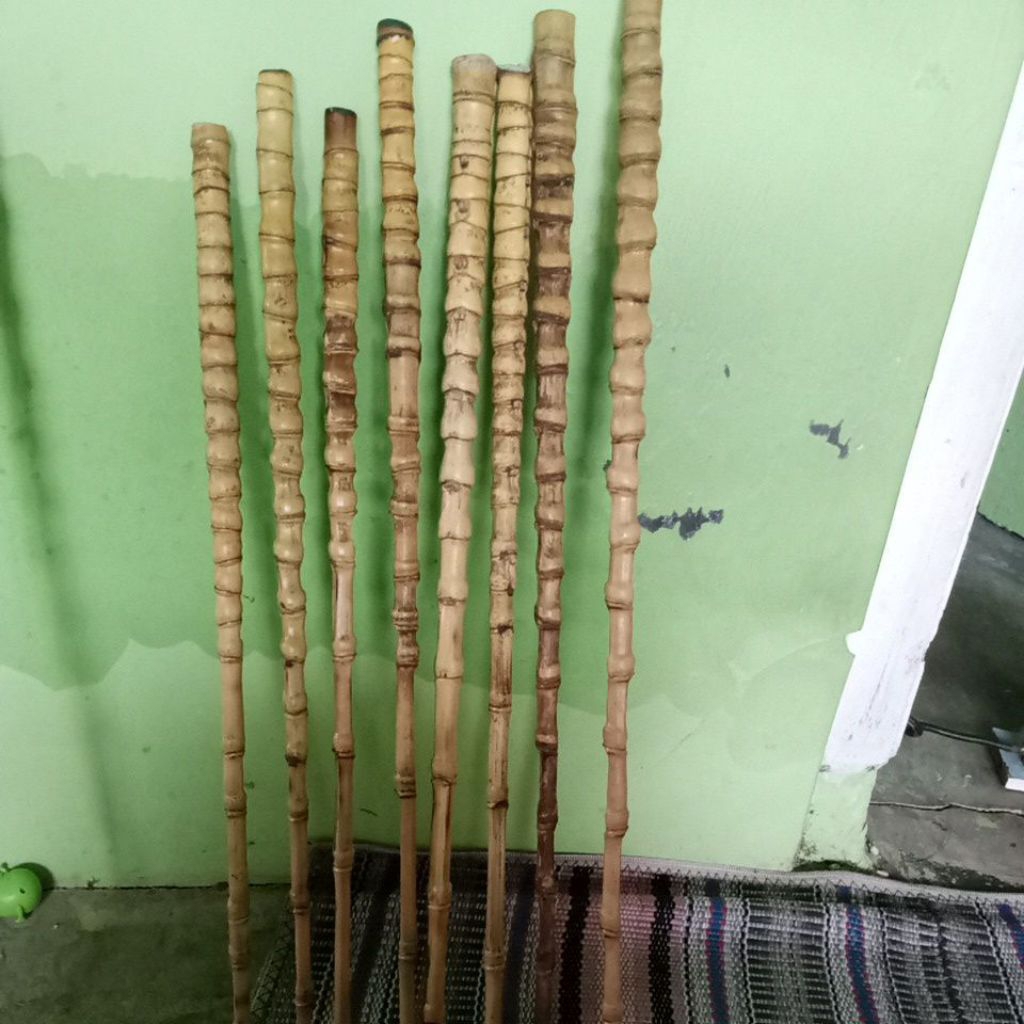 bambu cendani gagang joran lurus