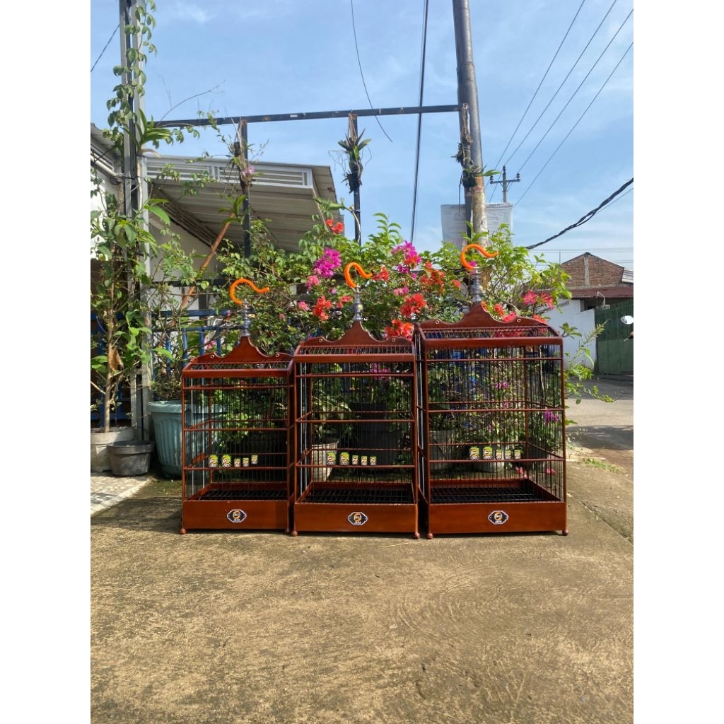 SANGKAR KOTAK EBOD JAYA COKLAT POLOS NO 1,2,3