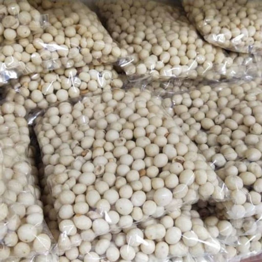 kacang atom/kacang sukro