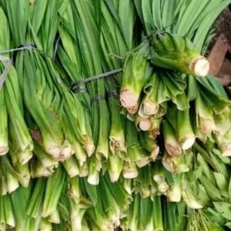 1/2 kg daun pandan