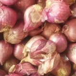 Bawang merah Padang 1ons 100g