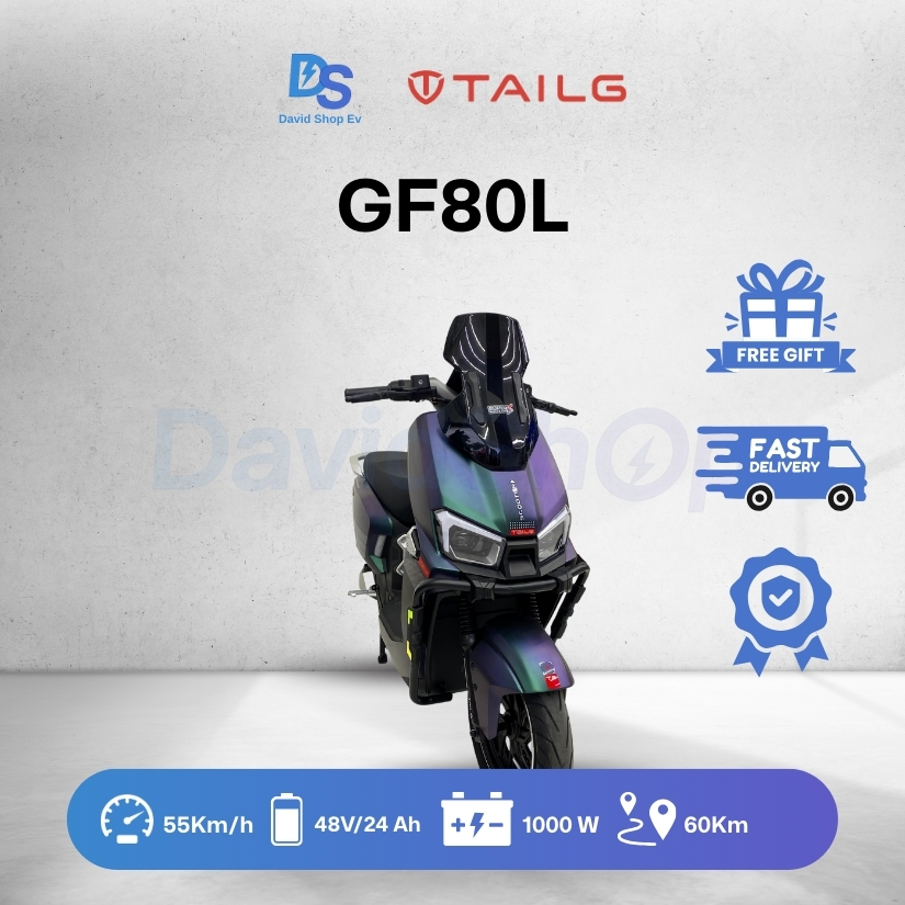 Sepeda Listrik Tailg GF 80L Pro 1000W 55km/jam