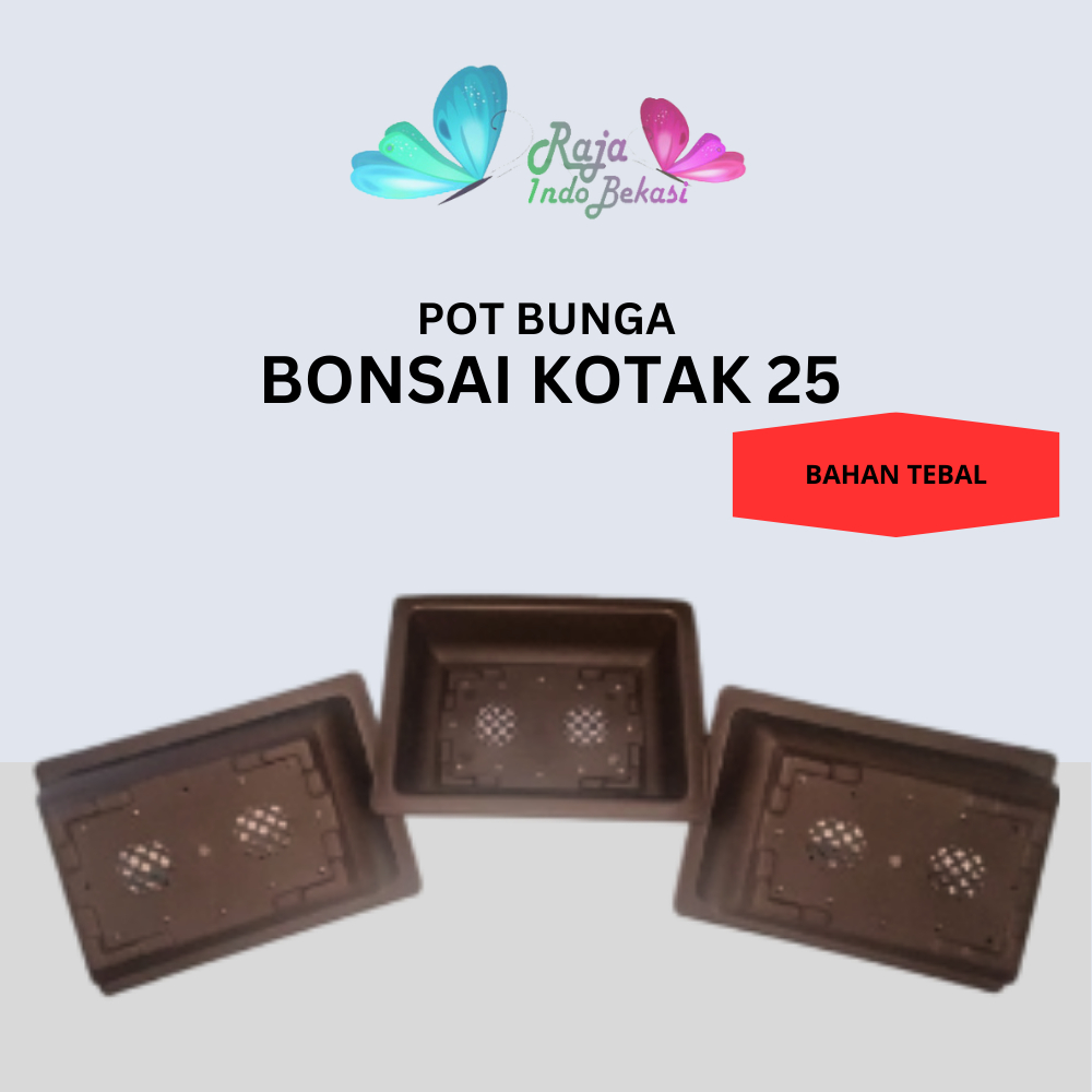 Pot Bonsai Kotak 25 COKLAT Pot Plastik Persegi Panjang NKT Pot Bunga Tanaman Bonsai 20 Putih Shalom 
