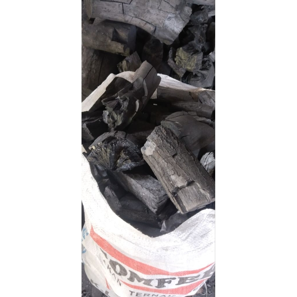 ARANG KAYU MAHONI / ARENG KAYU SUPER / MEDIA TANAM ANGREK