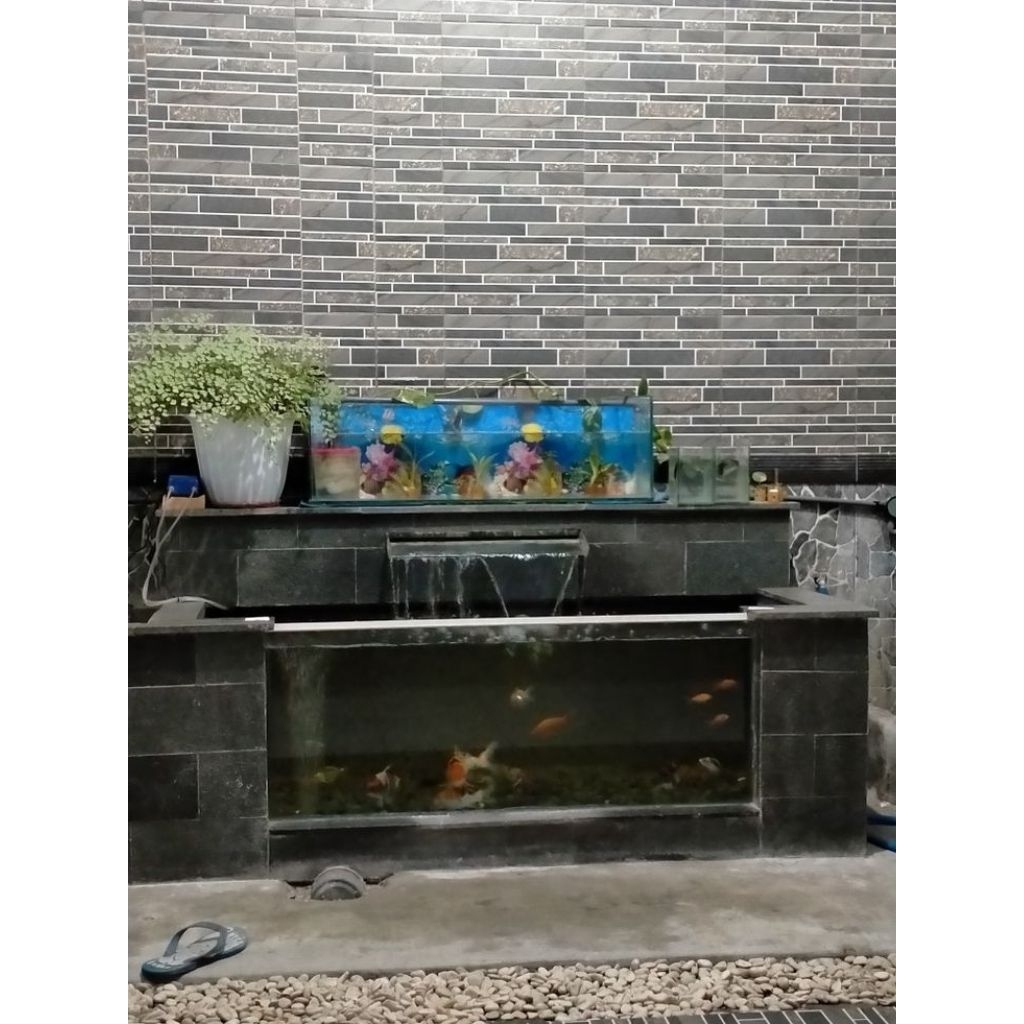 terimaa jasaa pembuatan kolam ikan koi kaca minimalis termurah/tukang kolam ikan jakartaa/kolam kaca
