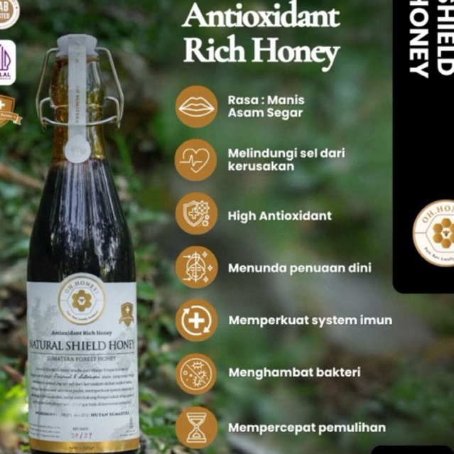 OH HONEY  Natural Shield Honey Oh Honey Madu Murni Asli Hutan Sumatera Tinggi Antioksidan Tanpa Camp