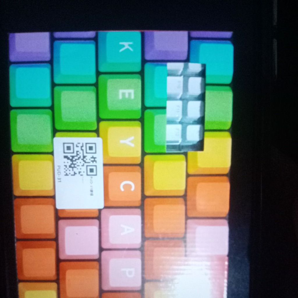 Vortex mono dengan pudding keycaps