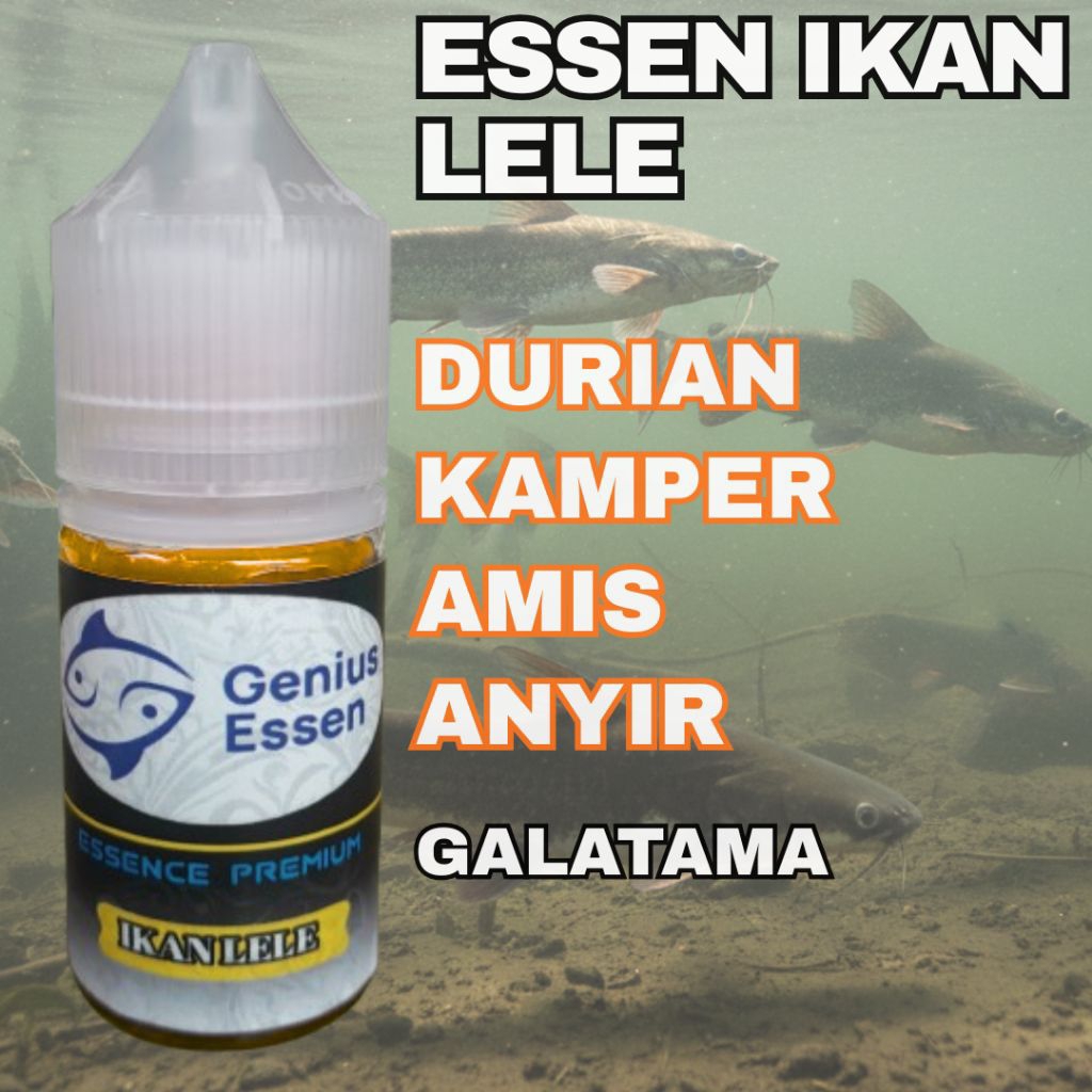 ESSEN IKAN LELE VARIAN DURIAN KAMPER essen ikan lele harian essen ikan lele lomba essen ikan lele ga