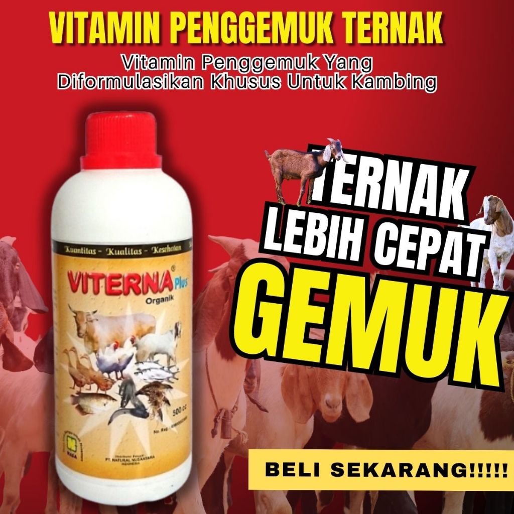 Vitamin Kambing Penggemuk Ternak – VITERNA NASA Booster Untuk Penggemukan Kambing Viterna Nasa 500ml