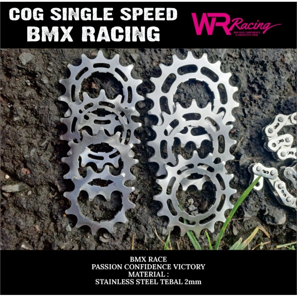 cog single slop stainles bmx dj fixie