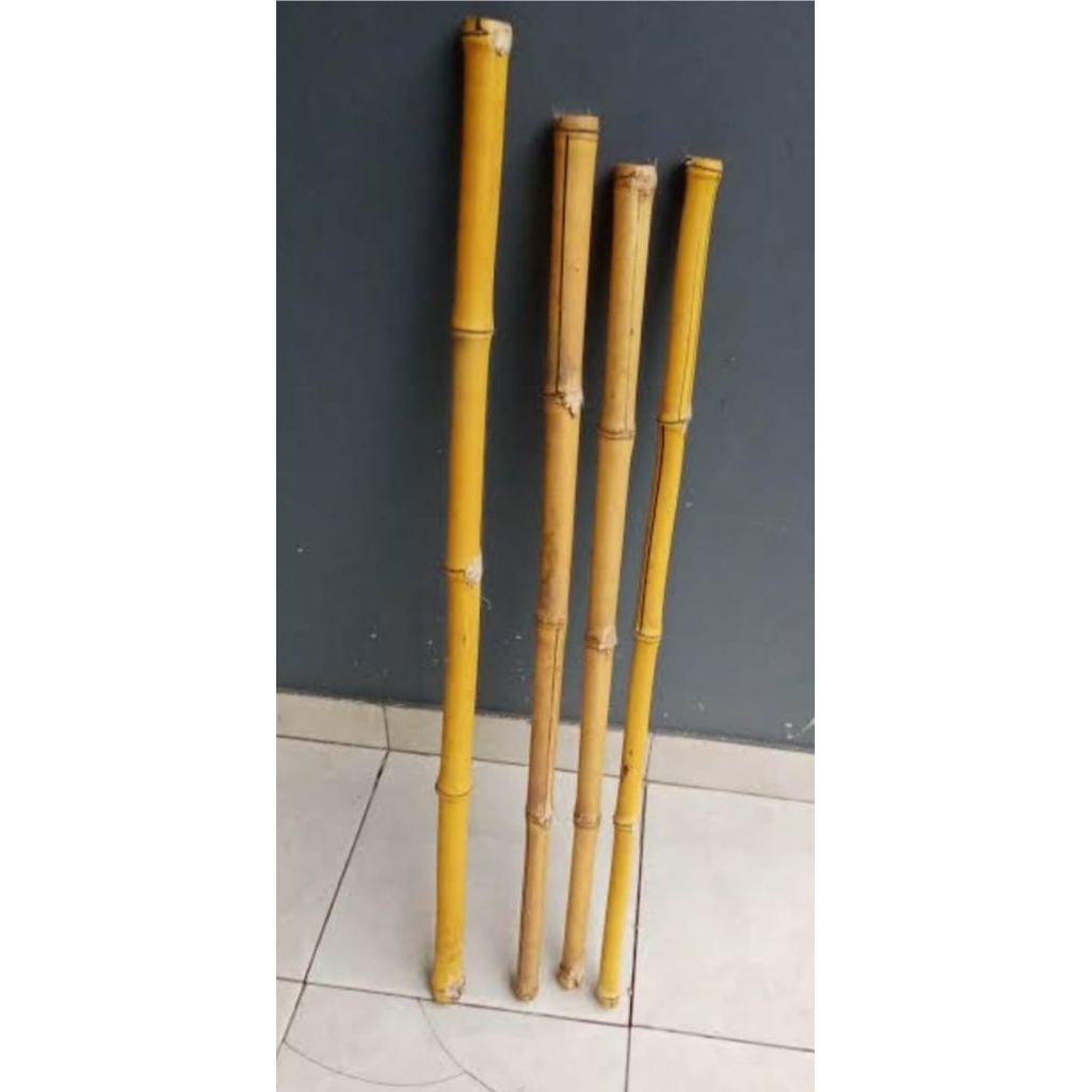tongkat bambu kuning 1 meter