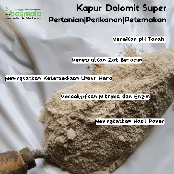 Kapur Dolomit 1 Kg 3 Kg dan 10 Kg Kemasan Repack Pupuk Dolomite Kalsium Super Pertanian Tani Ternak 