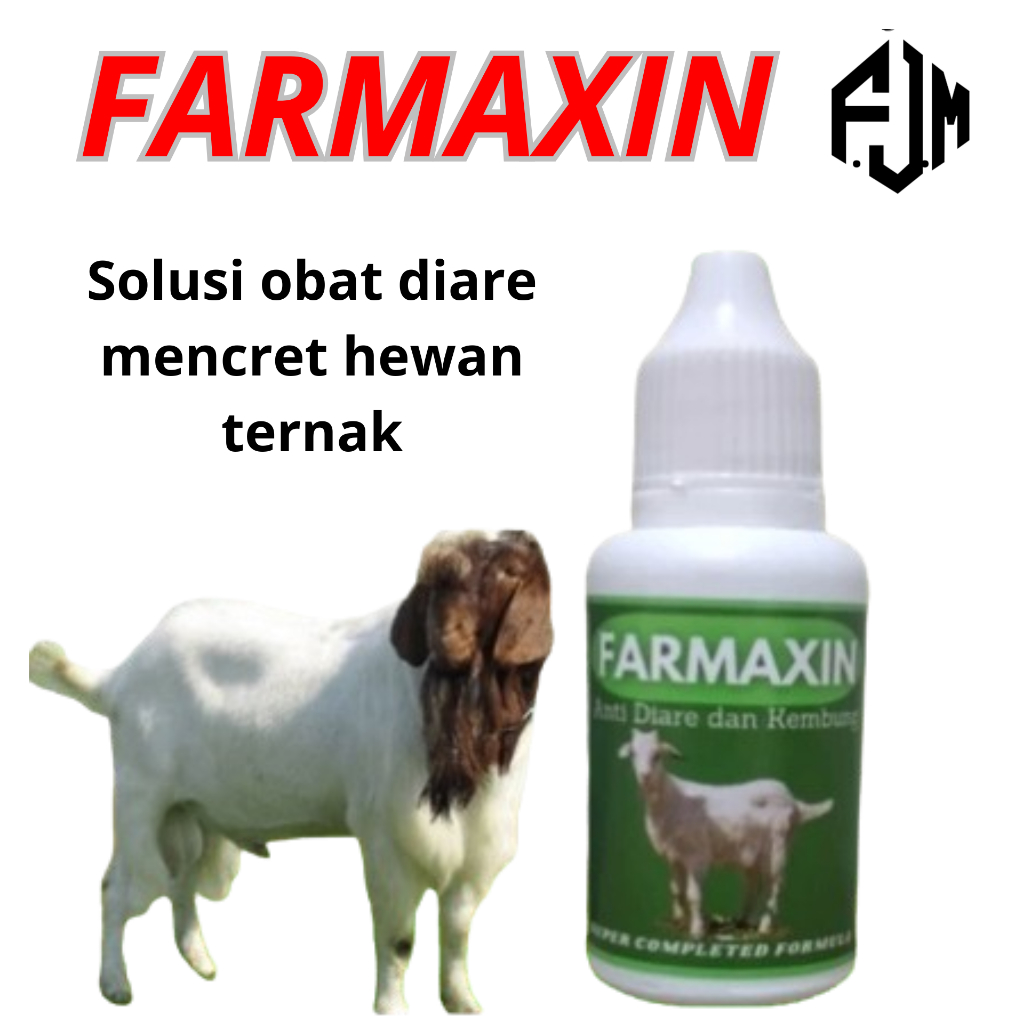 Obat Kembung Mencret Kambing Domba AMPUH