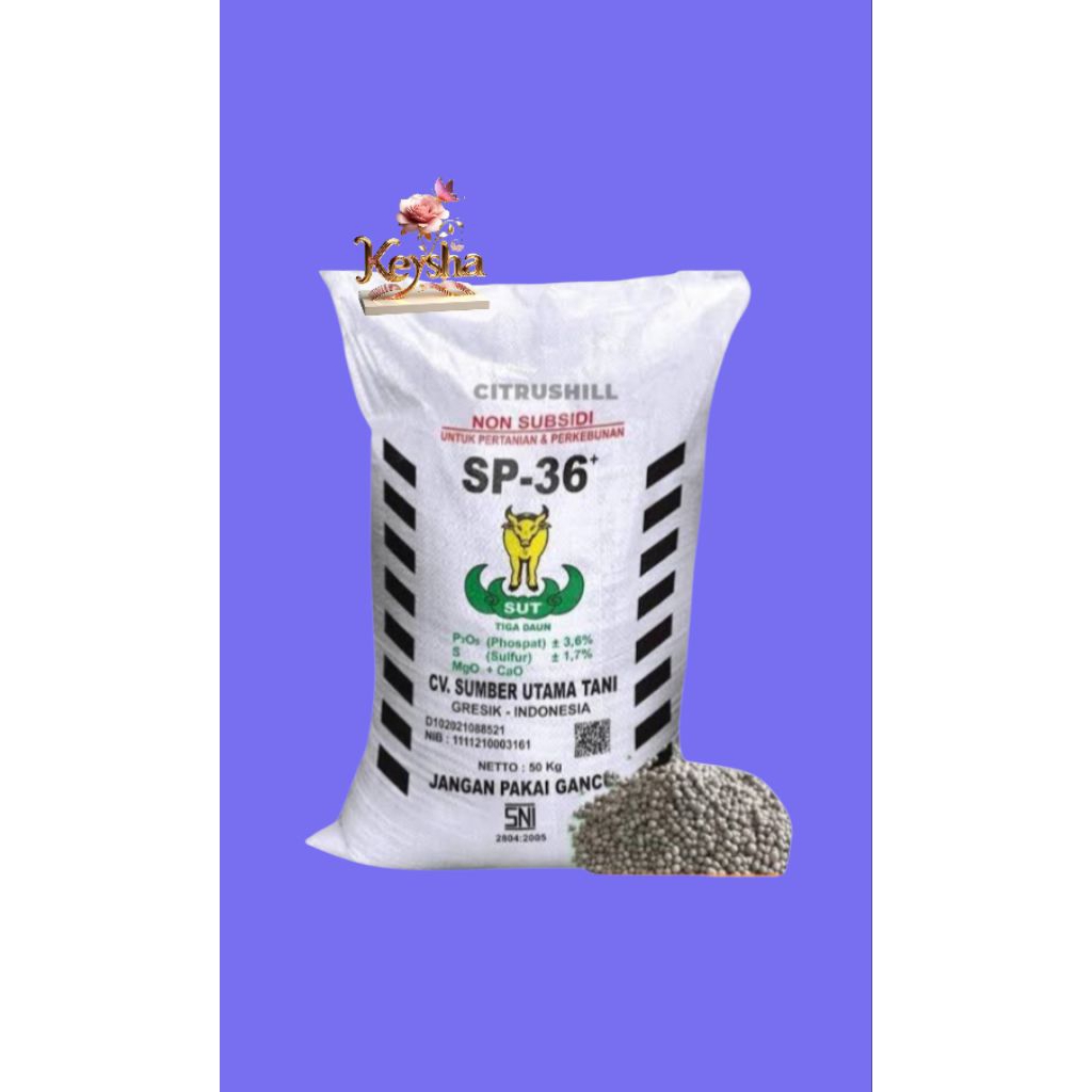 PUPUK TSP SP36 ORIGINAL 100% REPACK 1KG