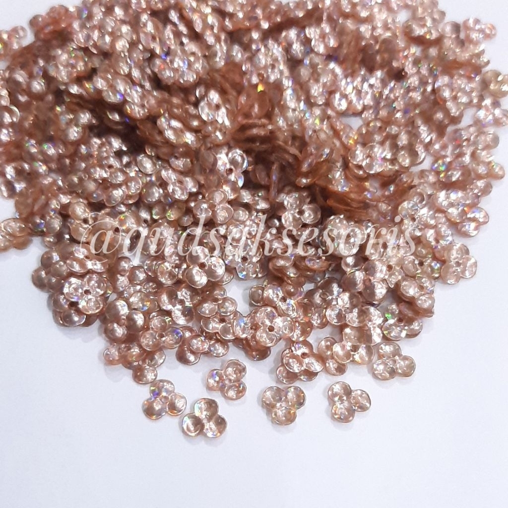 Sequin/payet/ramboci