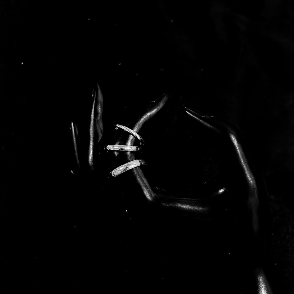 Paseris - Cincin Titanium Polos Silver