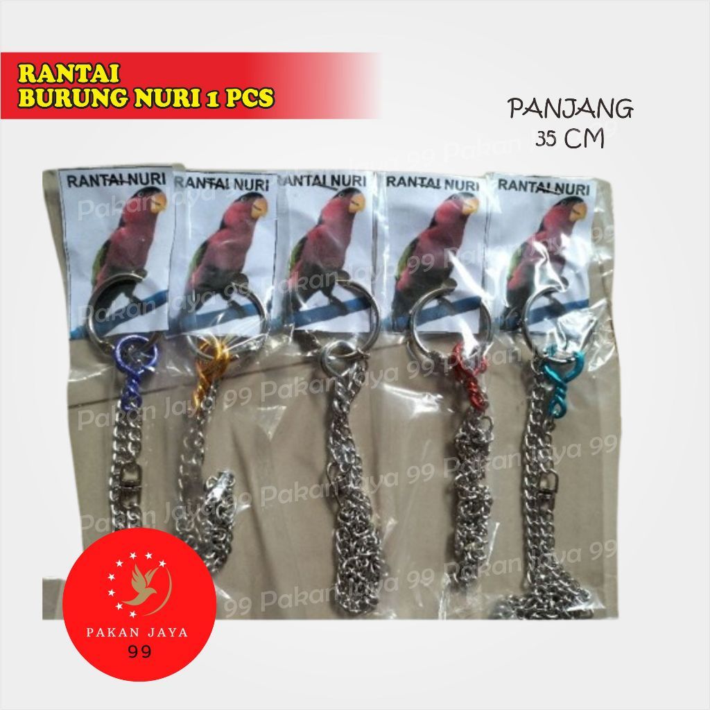RANTAI BURUNG NURI 1 PCS TALI KAKI BESI BURUNG PANJANG 35 CM IKAT BURUNG PARUH BENGKOK FALK