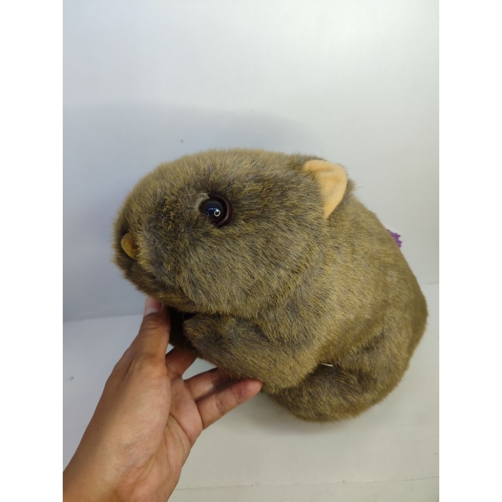 boneka wombat walla original Australia koala