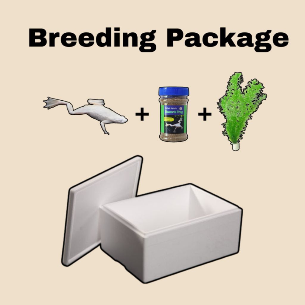 African Dwarf Frog Breeding Bundle