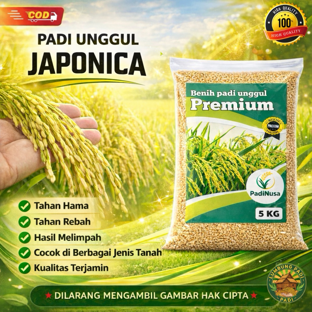 Benih padi JAPONICA bibit padi unggul 1-5KG benih padi berkualitas premium