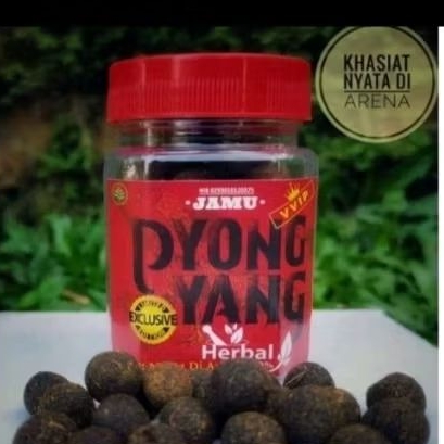 JAMU pyongyang ayam laga doping super kuat agresif nafas panjang