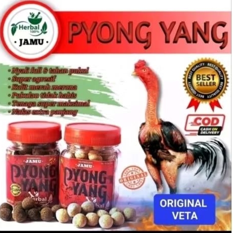 JAMU pyongyang ayam laga doping super kuat agresif nafas panjang