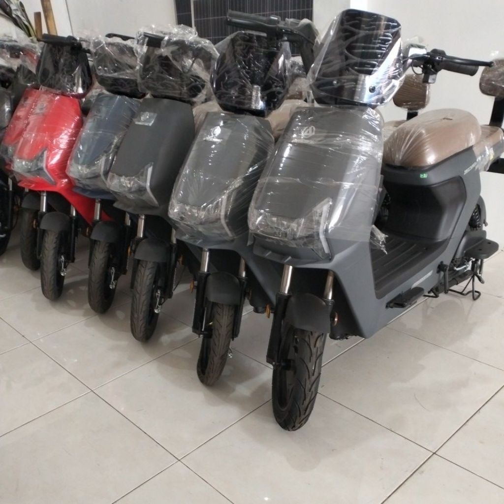 Sepeda Listrik Pasific Zeckrom 300