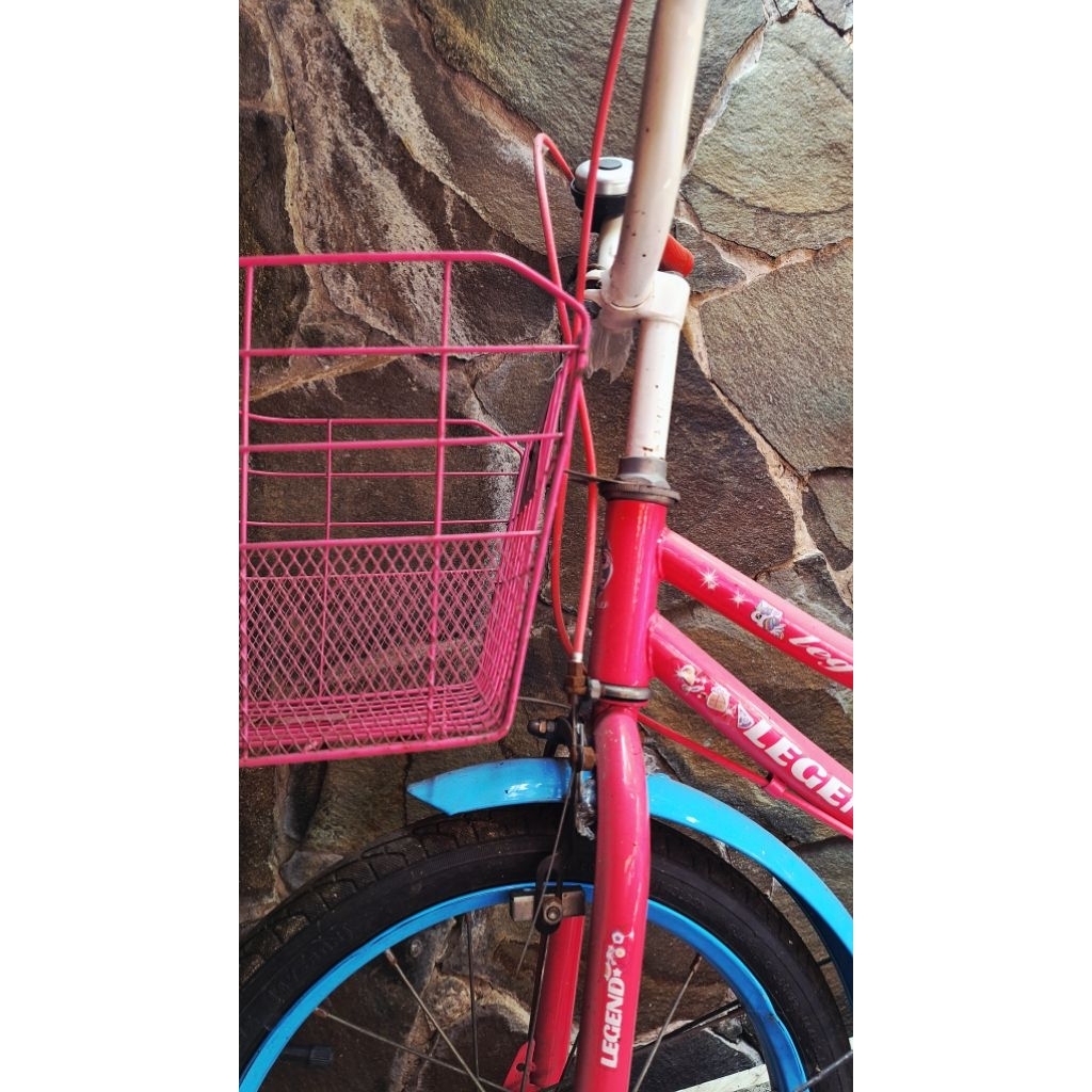 SEPEDA ANAK CEWEK RODA 2