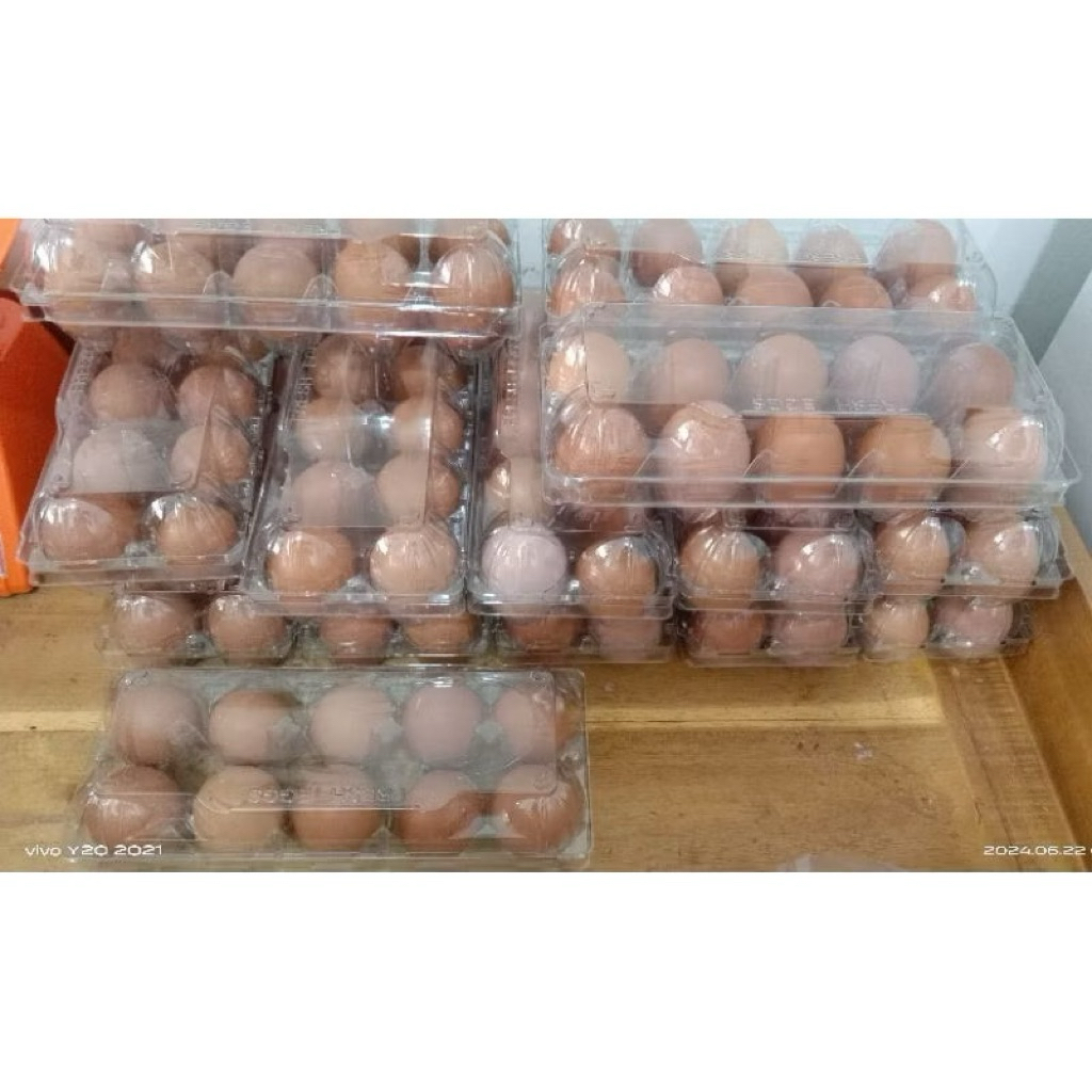 telur ayam negeri isi 10