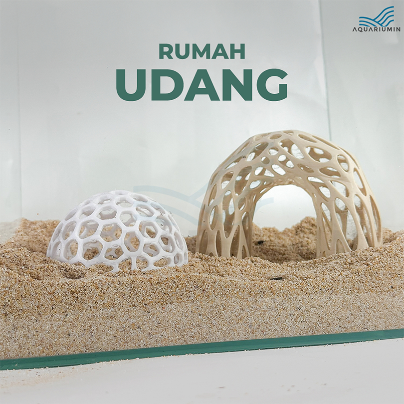 Rumah Udang Shrimp Shelter Tempat Sembunyi Udang Aquascape / Aquarium / Terrarium / Paludarium Tempa