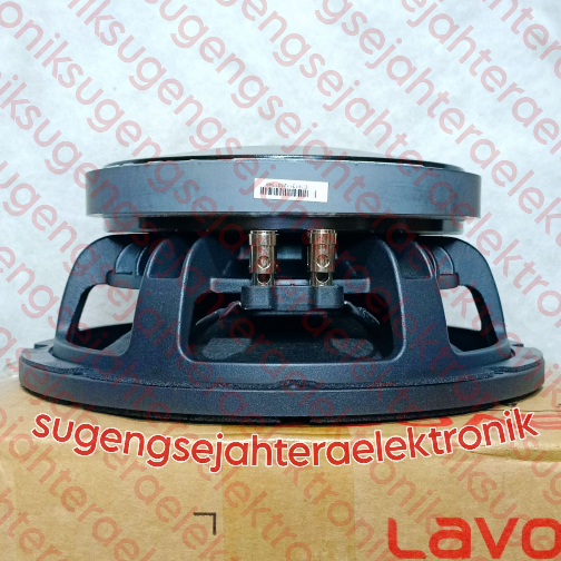 Speaker Lavoce 10 inch MAF 103.00 Italy Original