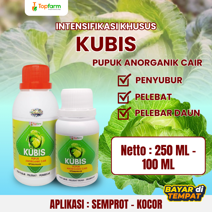 Pupuk Booster Kubis / Pupuk Kubis Cepat Besar / Pupuk Penyubur Tanaman Kubis / Obat Penyubur Kubis K