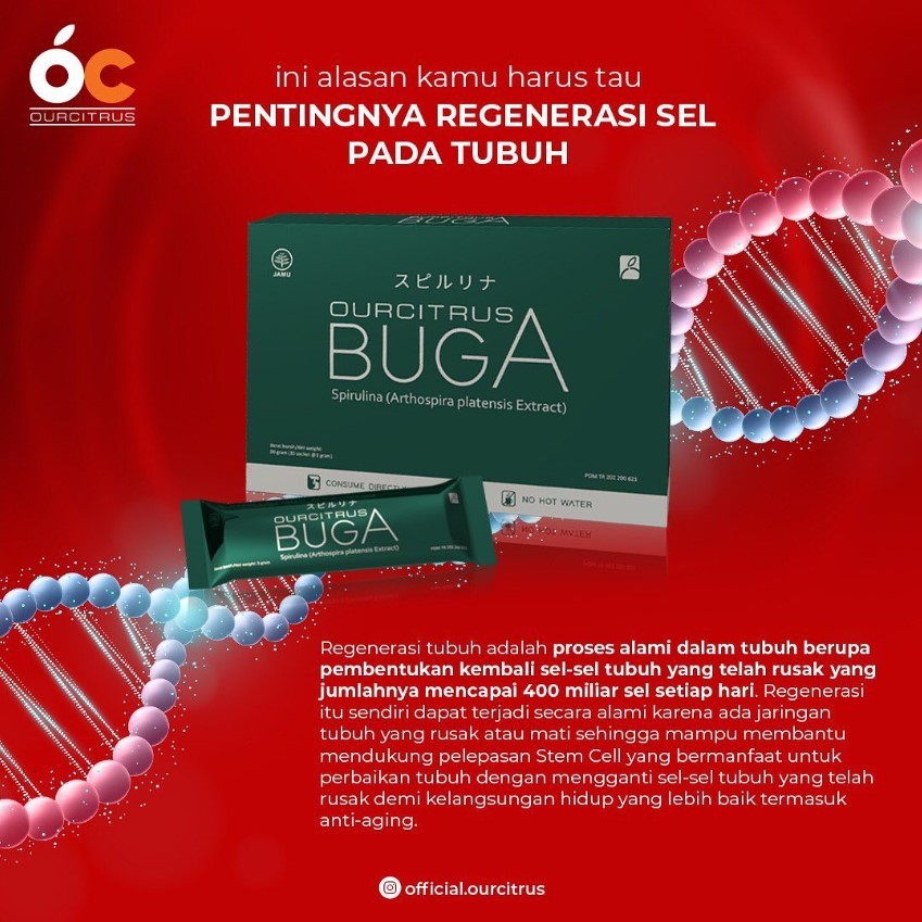 BUGA Ourcitrus Suplemen Alga untuk Kesehatan Sel