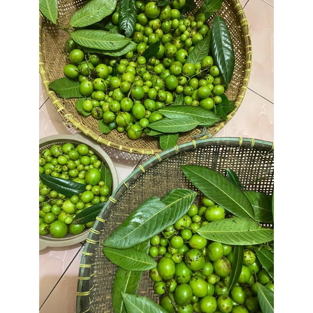 buah gandaria ramania 250 gram