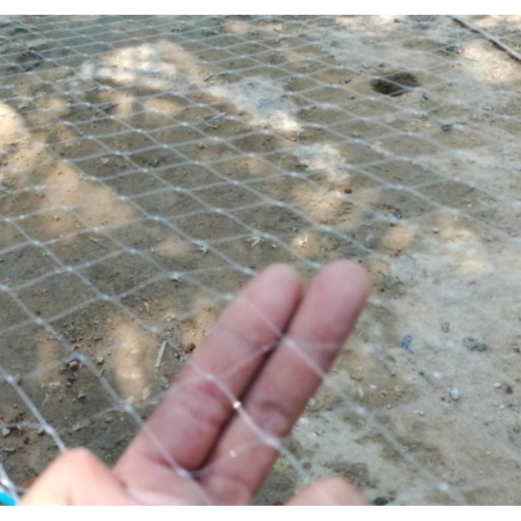 jaring anco ikan nila dll 2x2 meter 2 inchi