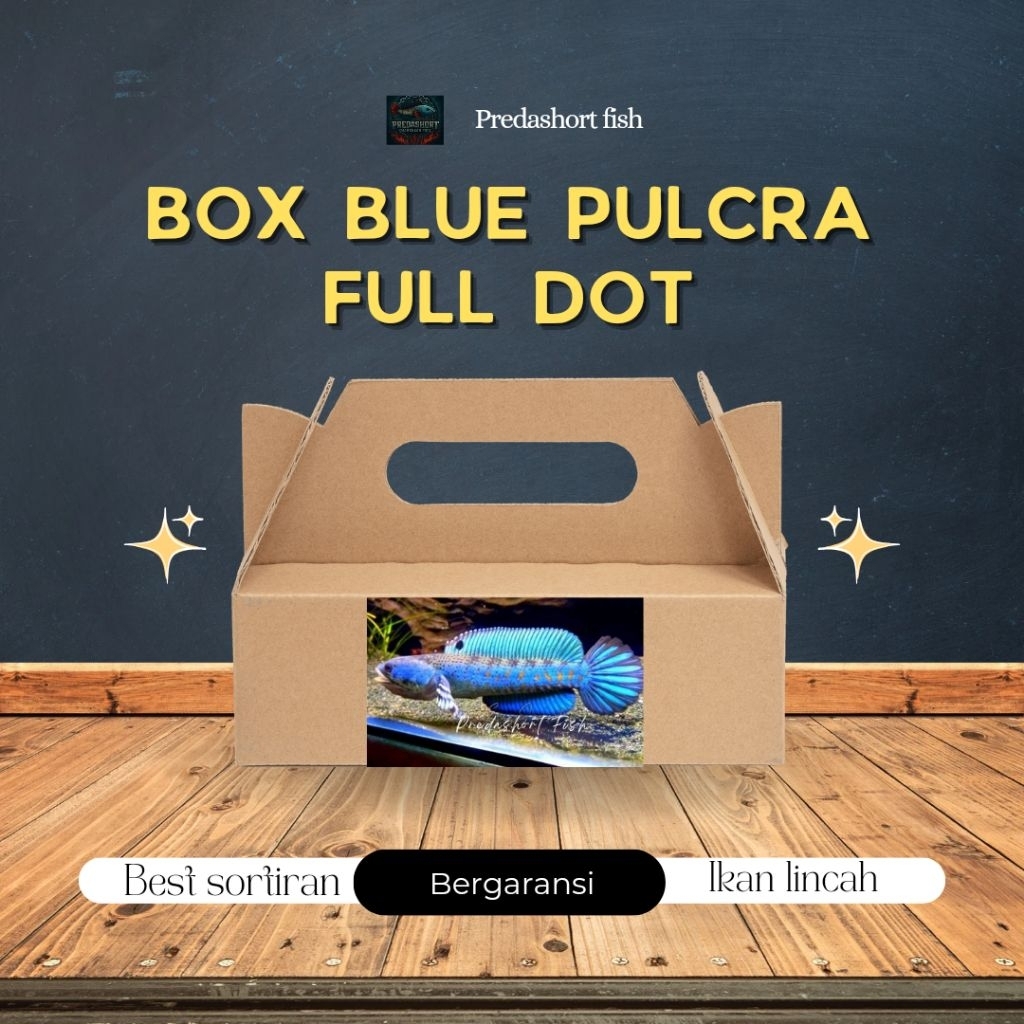 BOX kardus isi blue pulchra full dot yellow spot bahan berkualitas bergaransi