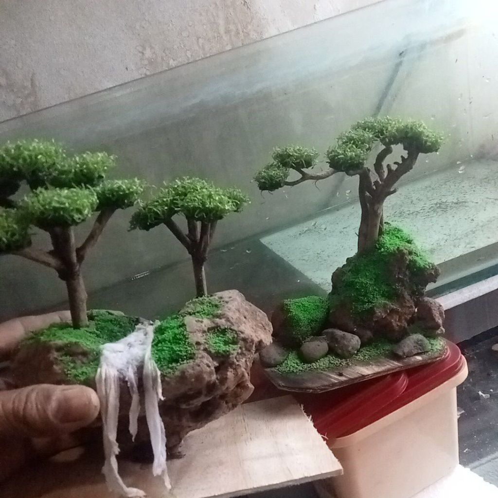 hardscape aquascape