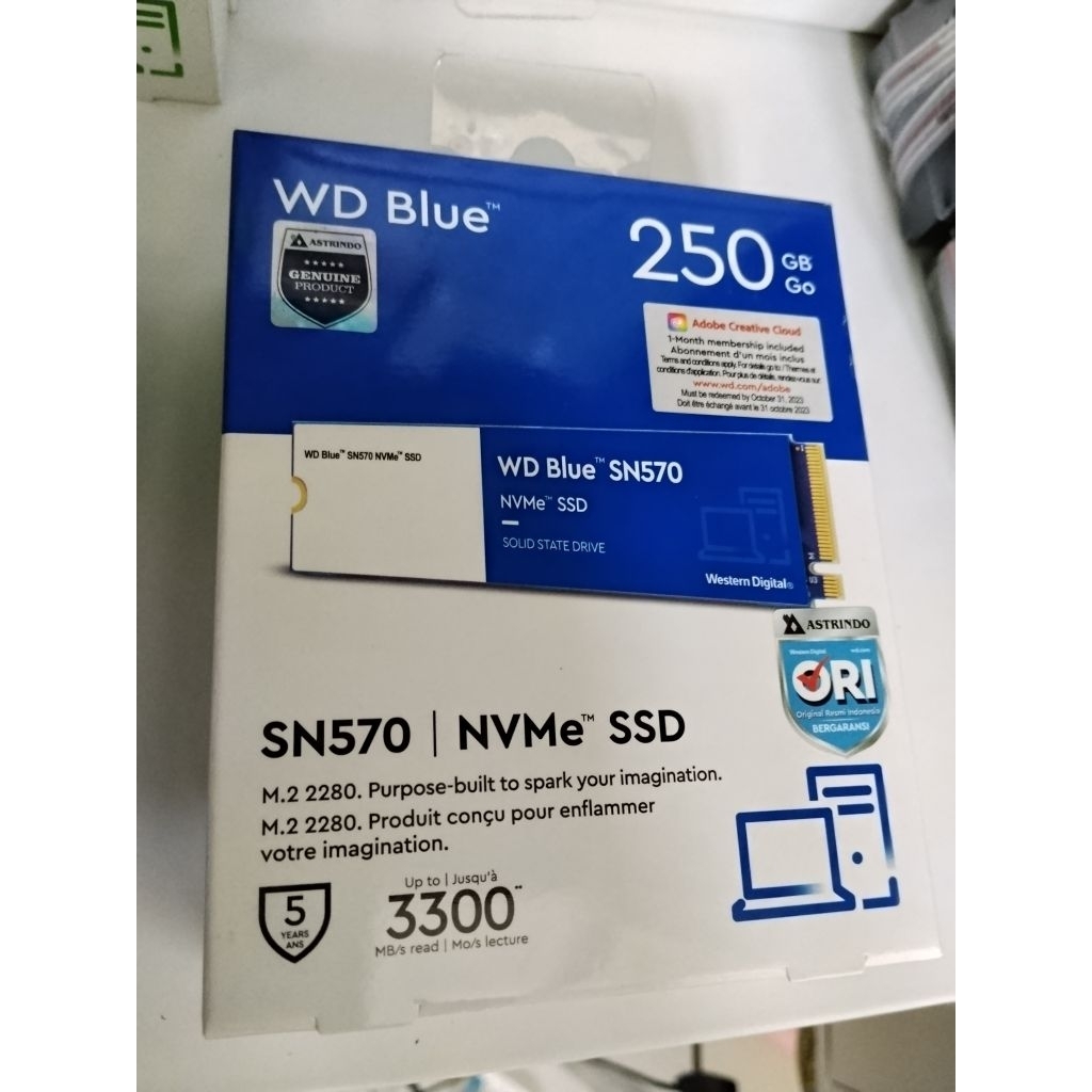 SSD NVMe WD BLUE SN570 250GB