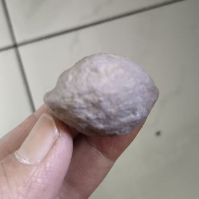 Kemiri Adu Muncang Adu Yanti Rajabatok Ori Tua Jatuhan