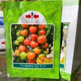 Benih Tomat Panah Merah Tyson F1