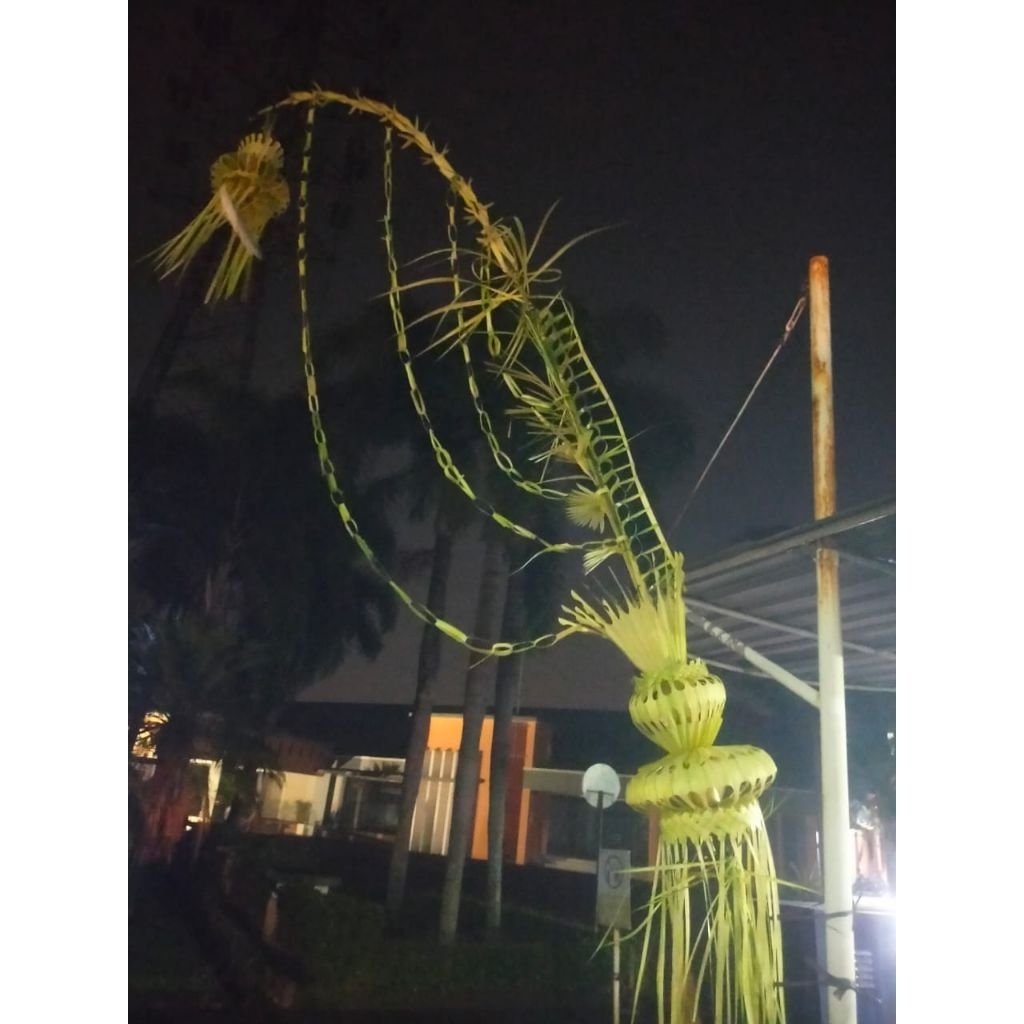 Janur kuning asli pernikahan/khitanan CIMAHI BDG PADALARANG