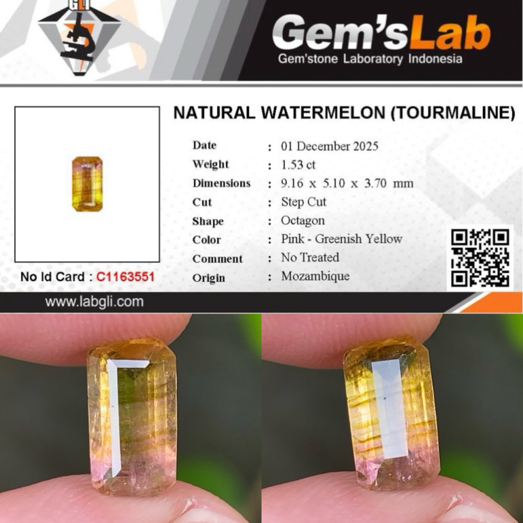 1,53 cts Natural Rare Watermelon Tourmaline origin Mozambique No Treatment Memo GLI