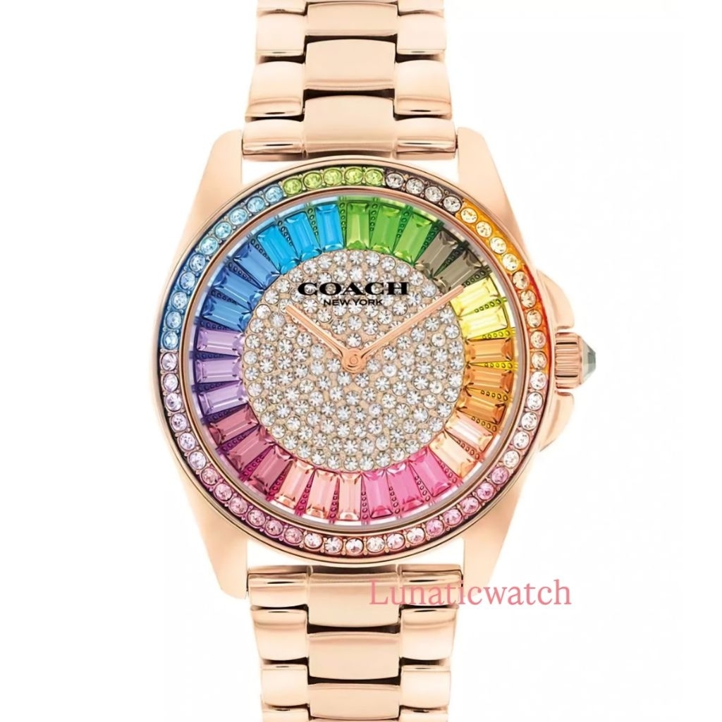 [RARE] Coach Greyson Rainbow Diamond LIMITED EDITION Watches