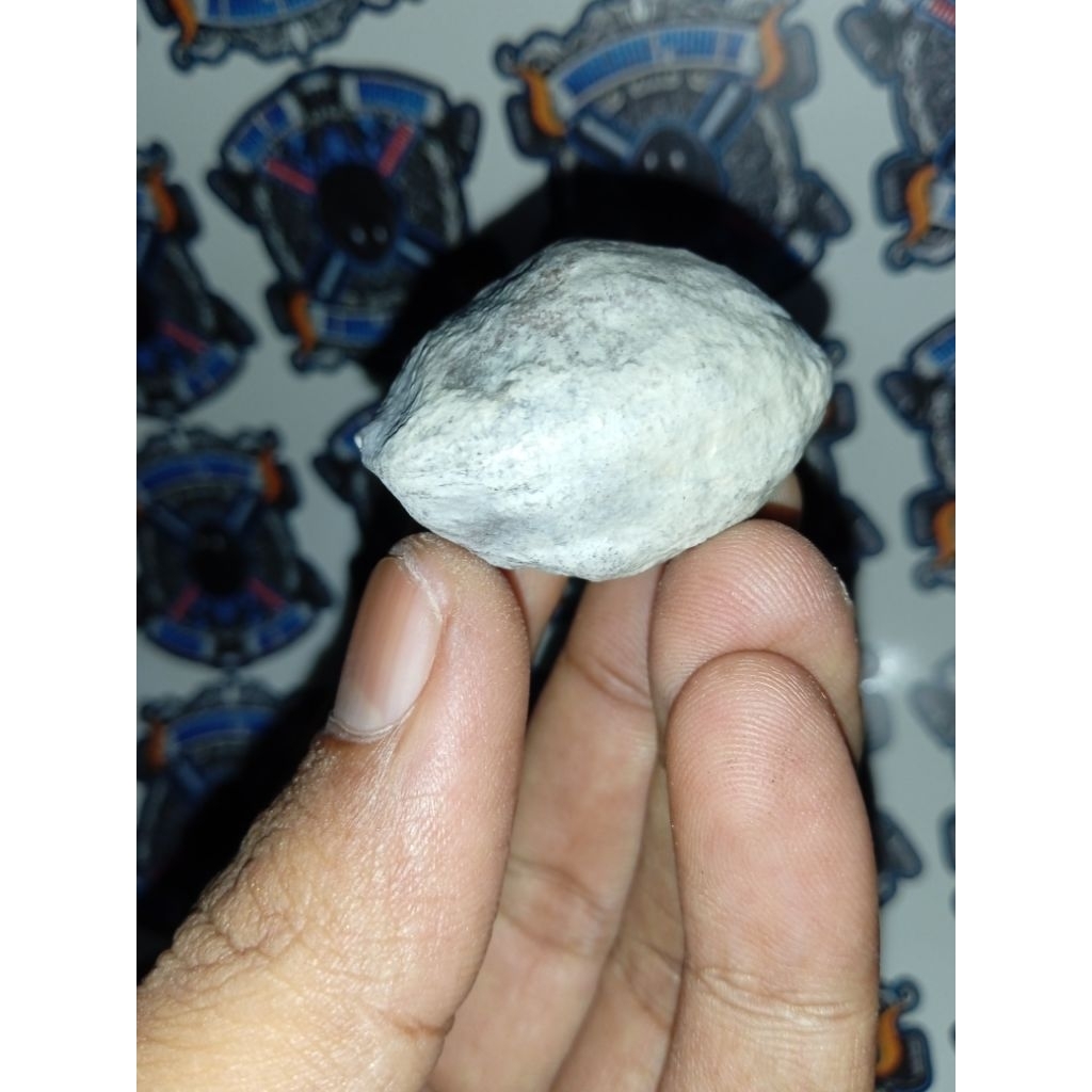 Muncang Adu Nyonyo Muji Jogja original stok terbatas