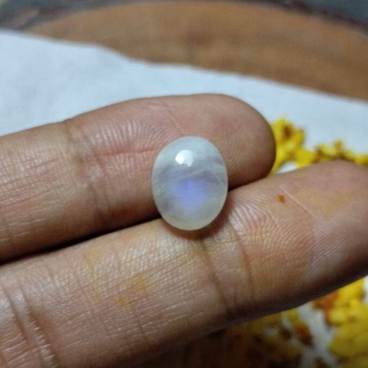 Batu cincin biduri laut asli