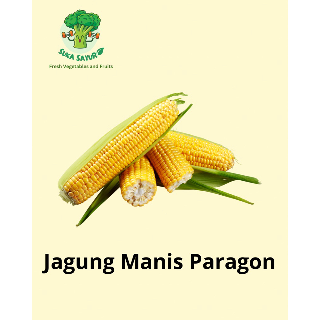 Jagung Manis Paragon