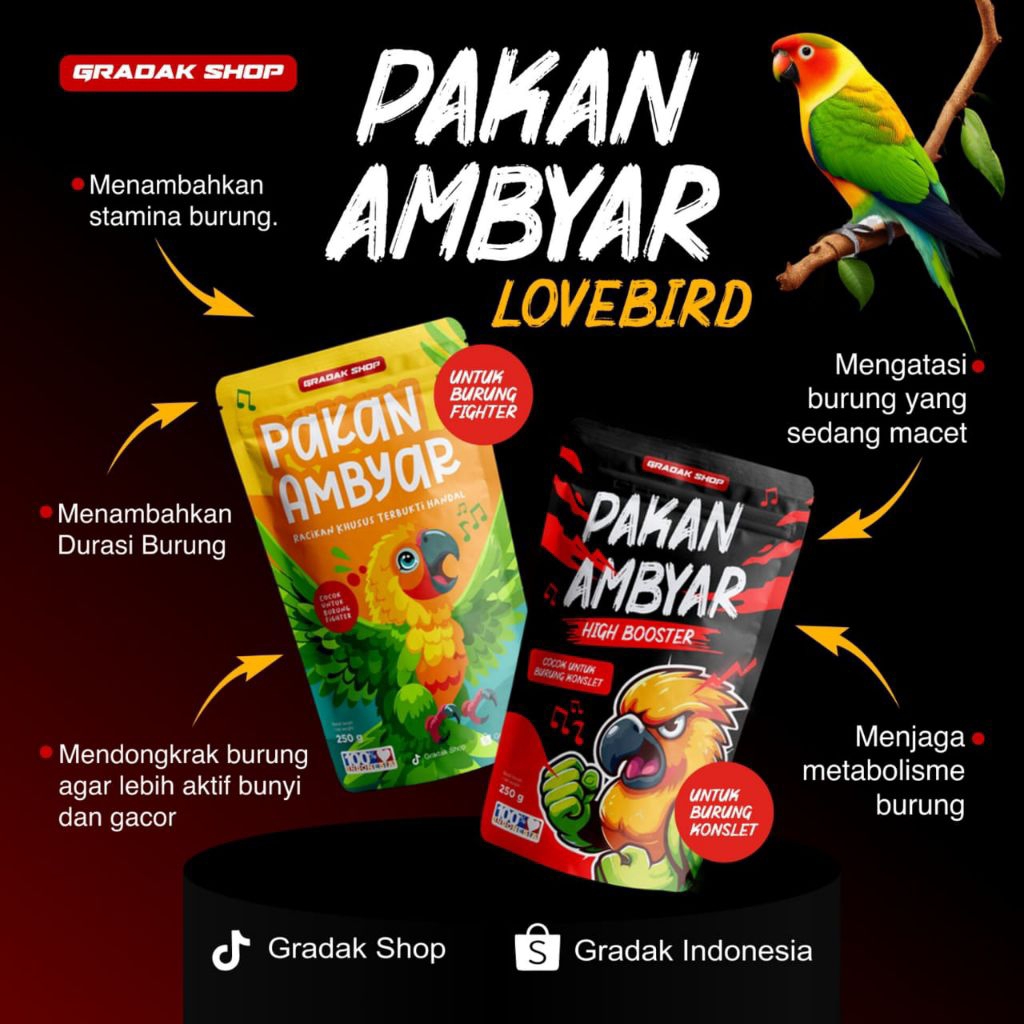 pakan ambyar Lovebird pakan burung Lovebird