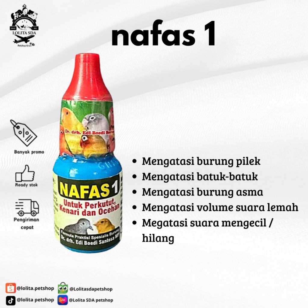 nafas 1 untuk burung perkutut kenari dan ocehan lain atasi gangguan pernapasan