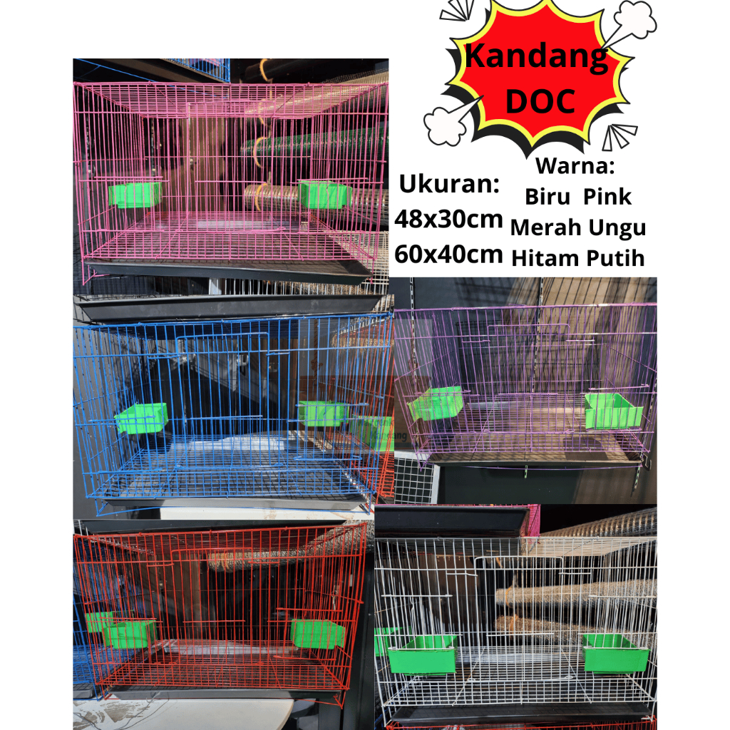 KANDANG PEMBESARAN DOC UNTUK AYAM KUCING KELINCI BEBEK WARNA WARNI