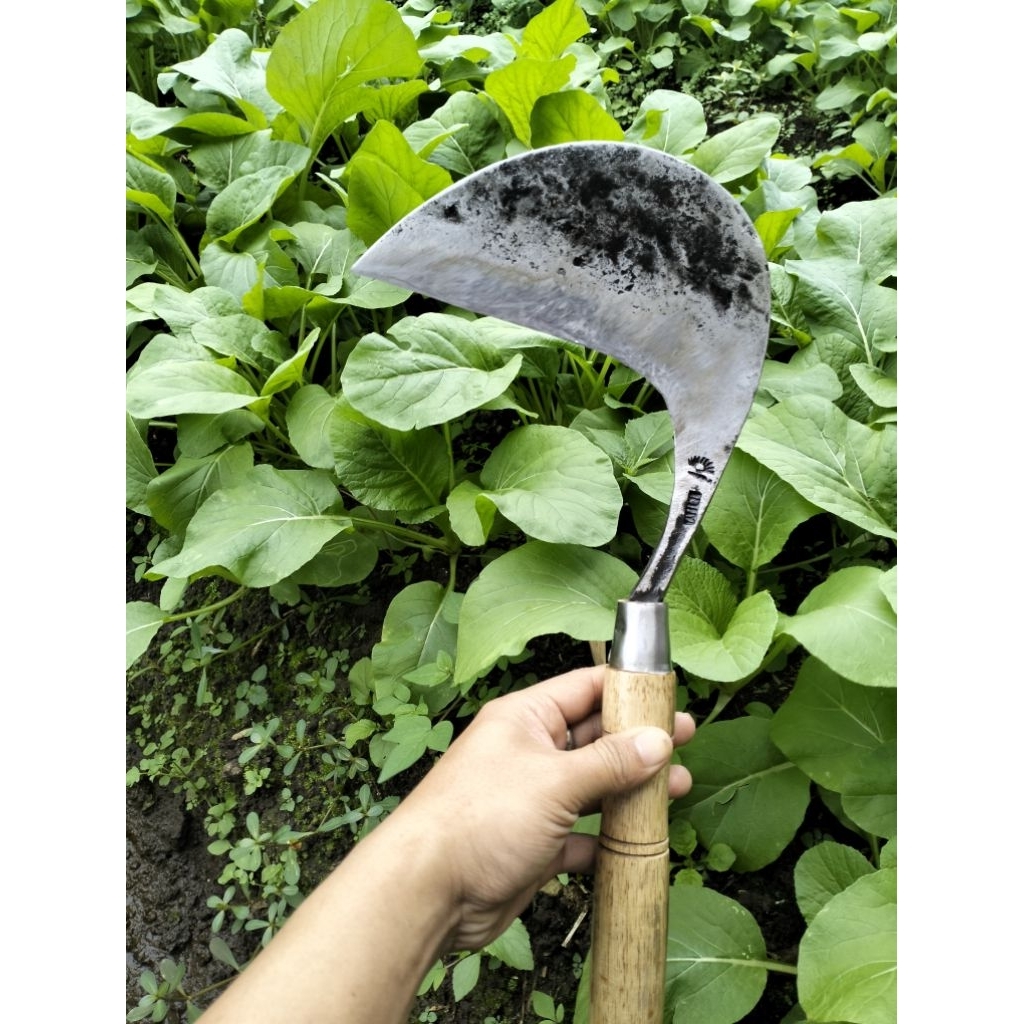 Arit Rumput Dan Padi Baja isen/selap Siap Pakai [ Sudah Asah Manual ] BERKUALITAS PREMIUM [ CAP MATA